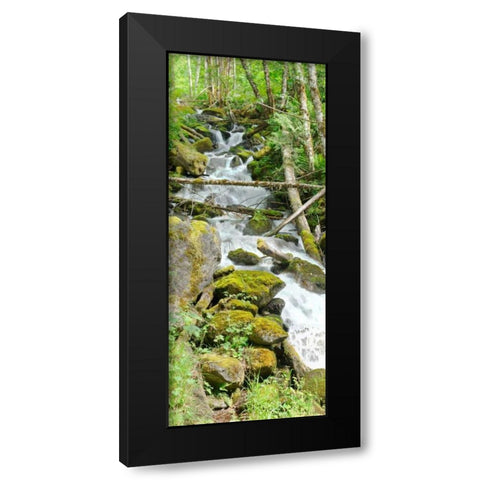 North Cascades NP VI Black Modern Wood Framed Art Print by Johnson, George