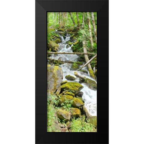 North Cascades NP VI Black Modern Wood Framed Art Print by Johnson, George