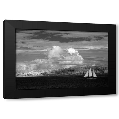 Port Townsend Sailboat I Black Modern Wood Framed Art Print with Double Matting by Johnson, George