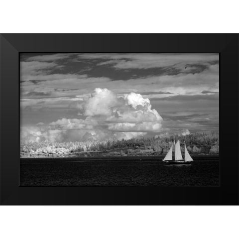 Port Townsend Sailboat I Black Modern Wood Framed Art Print by Johnson, George