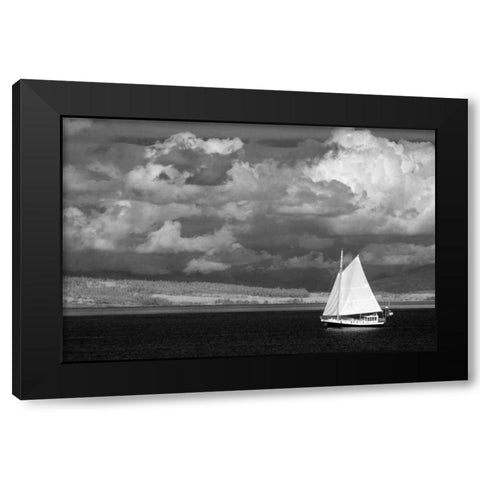 Port Townsend Sailboat II Black Modern Wood Framed Art Print by Johnson, George