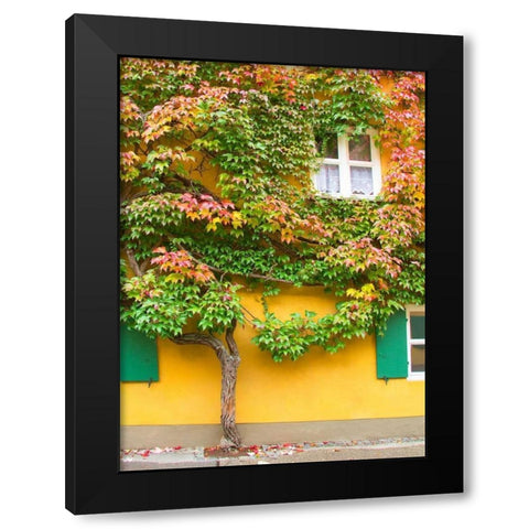 Augsburg Tree and Windows Black Modern Wood Framed Art Print by Johnson, George