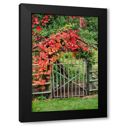The Garden Gate Black Modern Wood Framed Art Print with Double Matting by Johnson, George