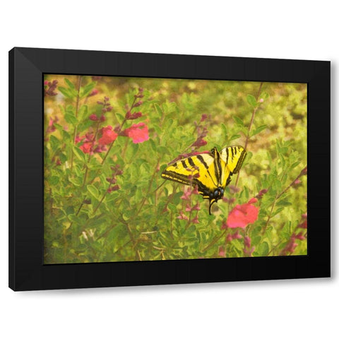 Butterfly and Flowers Black Modern Wood Framed Art Print by Johnson, George