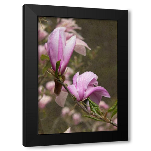 Pink Tulip Tree I Black Modern Wood Framed Art Print by Johnson, George