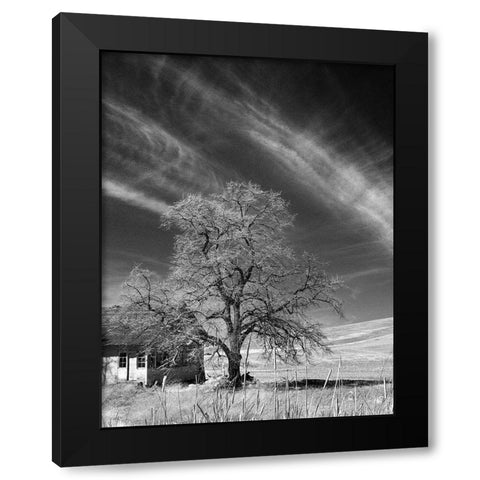 Palouse House and Tree Black Modern Wood Framed Art Print by Johnson, George