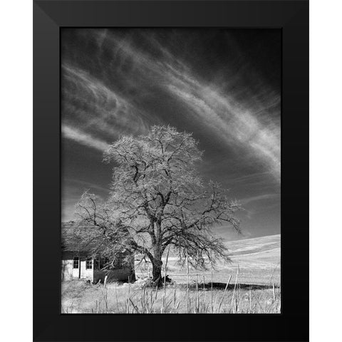 Palouse House and Tree Black Modern Wood Framed Art Print by Johnson, George