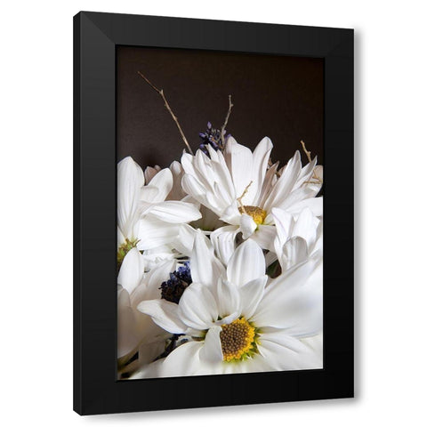 White Daisies Black Modern Wood Framed Art Print by Johnson, George