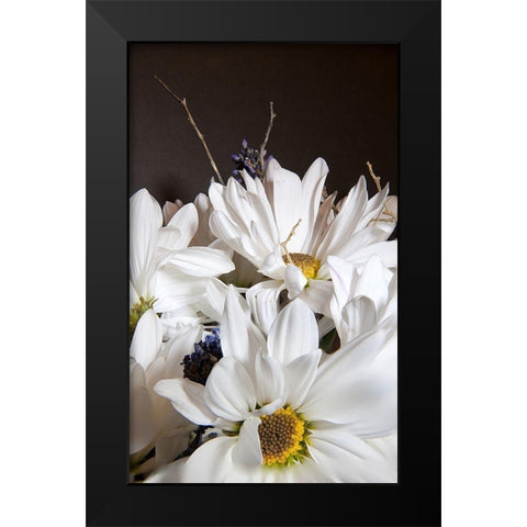 White Daisies Black Modern Wood Framed Art Print by Johnson, George