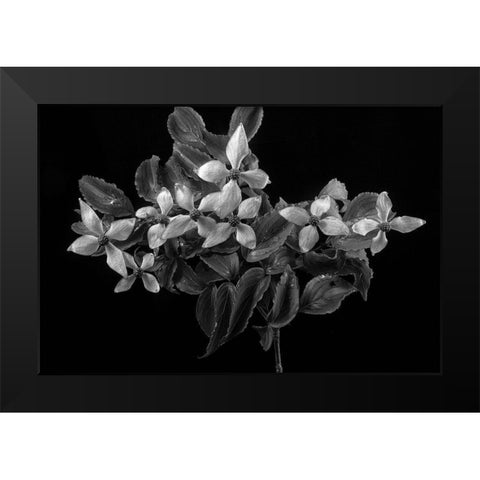 In From the Rain Black Modern Wood Framed Art Print by Johnson, George