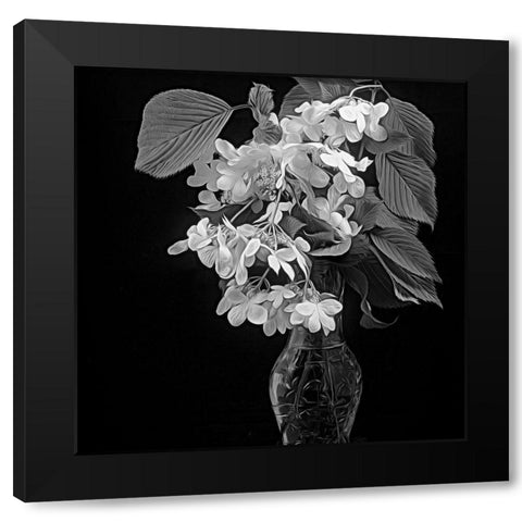 White Dogwood Black Modern Wood Framed Art Print by Johnson, George