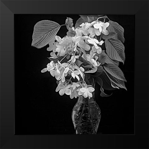 White Dogwood Black Modern Wood Framed Art Print by Johnson, George