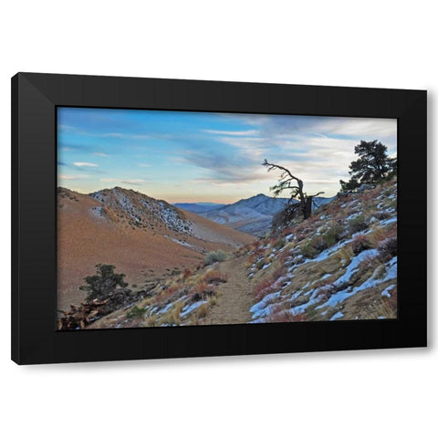 Desert II Black Modern Wood Framed Art Print with Double Matting by Kidd, Brian