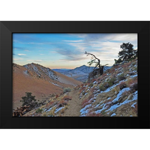 Desert II Black Modern Wood Framed Art Print by Kidd, Brian
