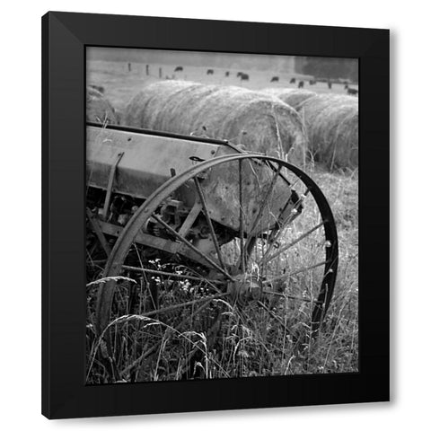 Sewing Seeds II Black Modern Wood Framed Art Print with Double Matting by Larson, Scott