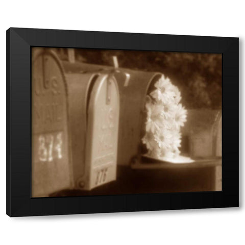 Special Delivery II Black Modern Wood Framed Art Print by Larson, Scott