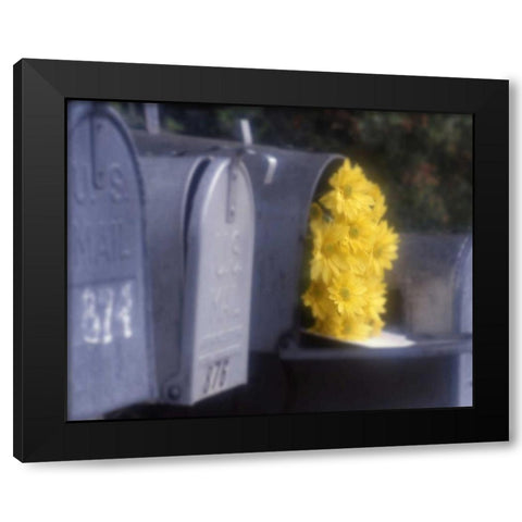 Special Delivery III Black Modern Wood Framed Art Print by Larson, Scott