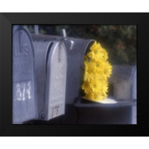 Special Delivery III Black Modern Wood Framed Art Print by Larson, Scott