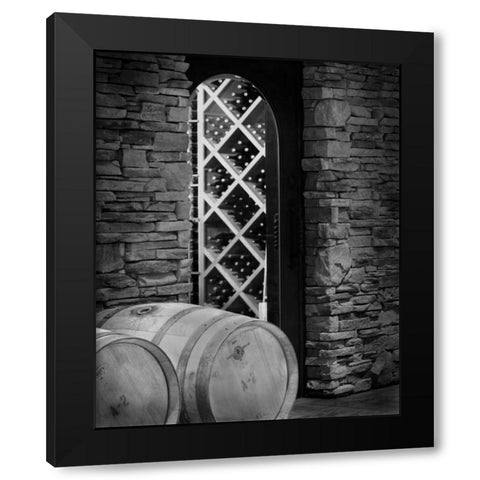 Wine Cellar I Black Modern Wood Framed Art Print by Larson, Scott