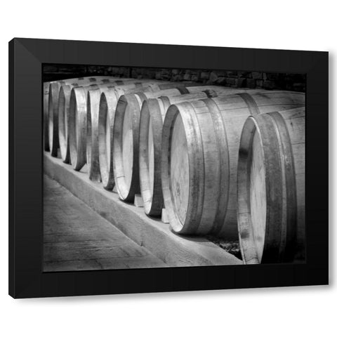 Winery I Black Modern Wood Framed Art Print by Larson, Scott