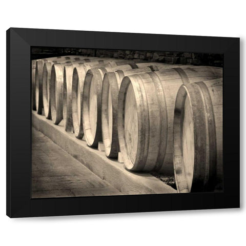 Winery II Black Modern Wood Framed Art Print with Double Matting by Larson, Scott