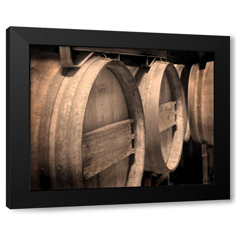 Winery V Black Modern Wood Framed Art Print by Larson, Scott