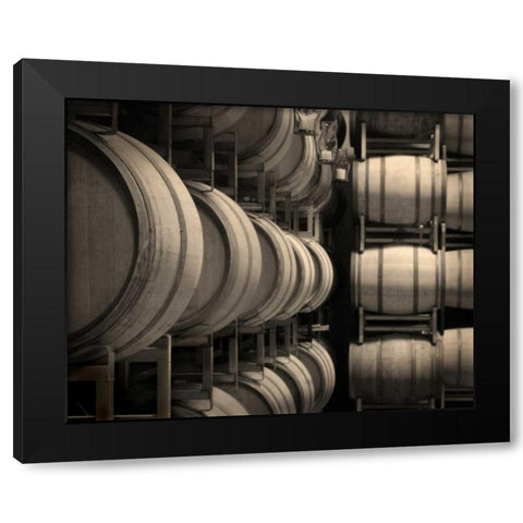 Winery VII Black Modern Wood Framed Art Print by Larson, Scott