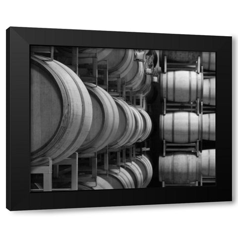 Winery VIII Black Modern Wood Framed Art Print by Larson, Scott