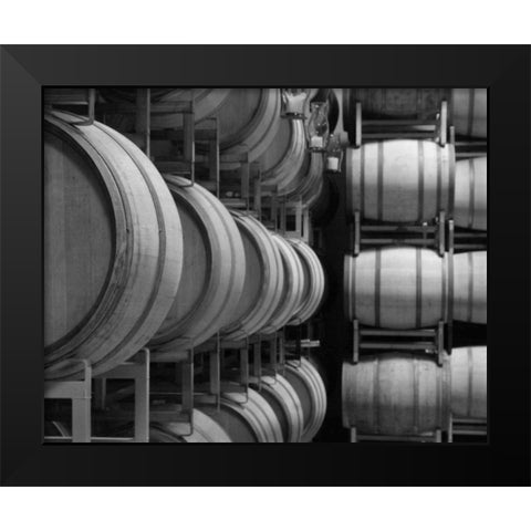 Winery VIII Black Modern Wood Framed Art Print by Larson, Scott