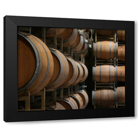 Winery IX Black Modern Wood Framed Art Print with Double Matting by Larson, Scott
