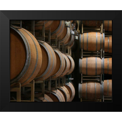 Winery IX Black Modern Wood Framed Art Print by Larson, Scott