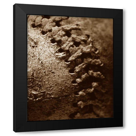 Summer Ball II Black Modern Wood Framed Art Print by Larson, Scott