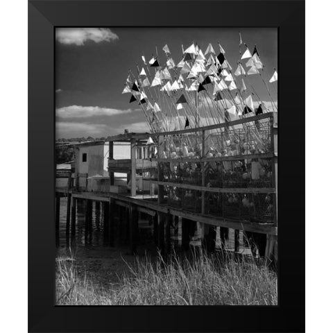 Estuary II Black Modern Wood Framed Art Print by Larson, Scott