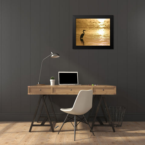 Estuary III Black Modern Wood Framed Art Print by Larson, Scott