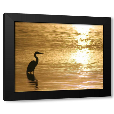 Estuary III Black Modern Wood Framed Art Print by Larson, Scott