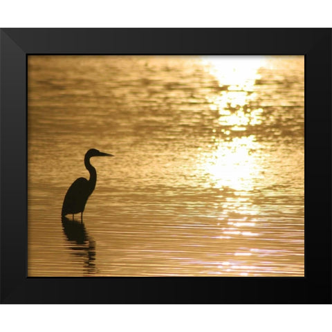 Estuary III Black Modern Wood Framed Art Print by Larson, Scott