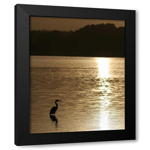 Estuary IV Black Modern Wood Framed Art Print by Larson, Scott