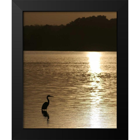 Estuary IV Black Modern Wood Framed Art Print by Larson, Scott