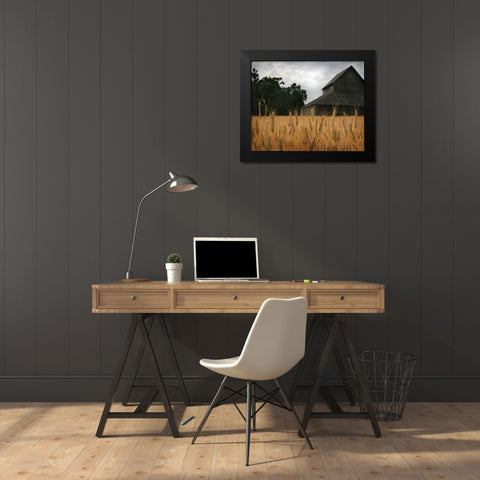 Harvest Time I Black Modern Wood Framed Art Print by Larson, Scott