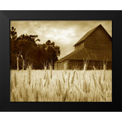 Harvest Time III Black Modern Wood Framed Art Print by Larson, Scott