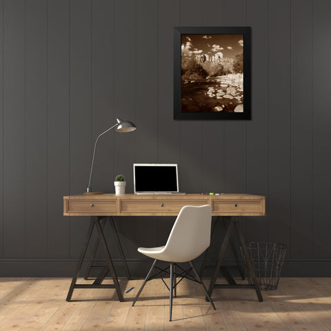 Desert Stream III Black Modern Wood Framed Art Print by Larson, Scott