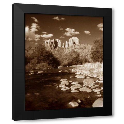 Desert Stream III Black Modern Wood Framed Art Print by Larson, Scott