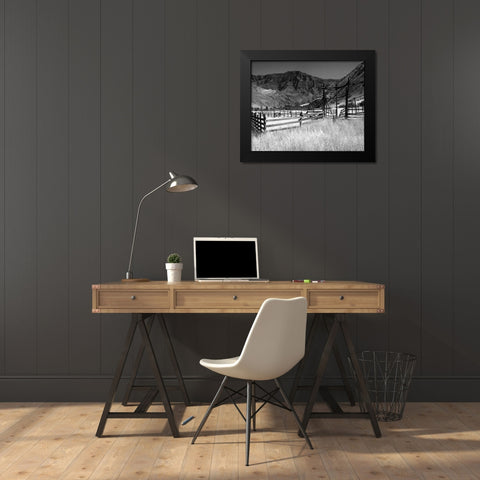 Summer Corral I Black Modern Wood Framed Art Print by Larson, Scott