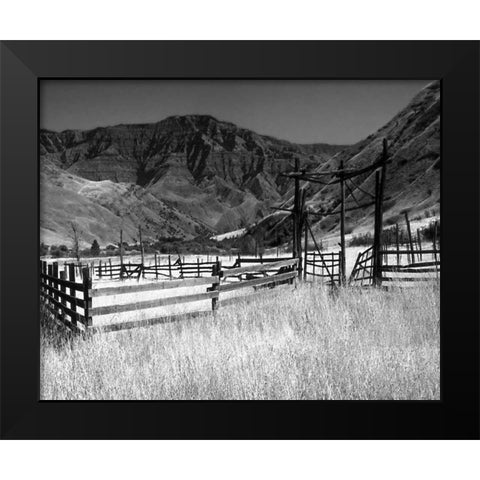 Summer Corral I Black Modern Wood Framed Art Print by Larson, Scott
