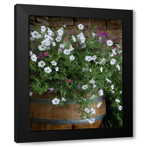 Petunia Barrel I Black Modern Wood Framed Art Print by Larson, Scott