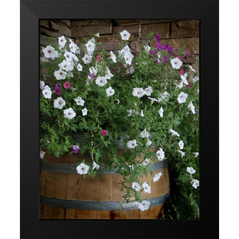 Petunia Barrel I Black Modern Wood Framed Art Print by Larson, Scott