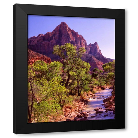 Zion National Park I Black Modern Wood Framed Art Print with Double Matting by Leahy, Ike