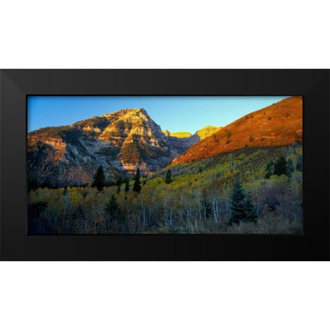 Sundance Black Modern Wood Framed Art Print by Leahy, Ike