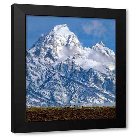 Grand Teton National Park V Black Modern Wood Framed Art Print by Leahy, Ike