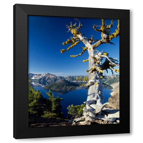Crater Lake I Black Modern Wood Framed Art Print with Double Matting by Leahy, Ike